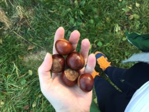 Familie, Herbst, Kastanien