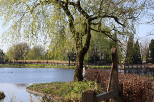 Unser Wochenende im Freiezeitpark Efteling in Holland - unterwegs mit Kindern im größten Freizeitpark Hollands!