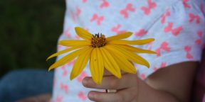 Geschenkidee für Kleinkinder und größere Kinder als Kleinigkeit oder einfach so, weil es schön ist die Kinder zu Fördern