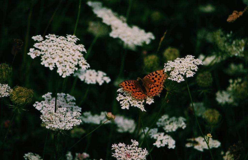 psychologie wer ich bin